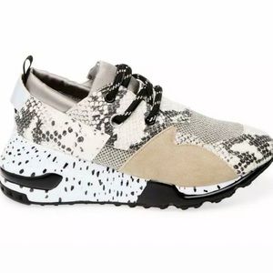 Steve Madden Snake Skin Cliff Sneakers New Size 7.5